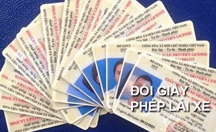 Cập Nhật 2025: Đổi Bằng Lái Xe Ô Tô Ở Đâu? Thủ Tục Online & Trực Tiếp